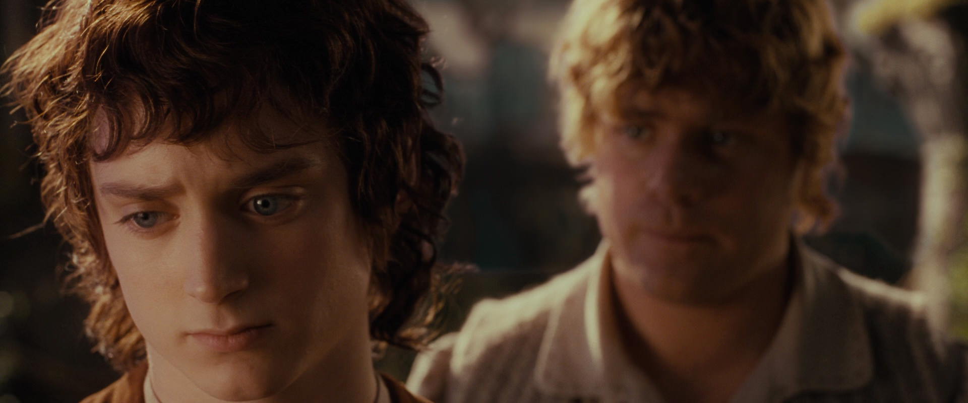 The Lord of the Rings: The Fellowship of the Ring (2001) screencap 10458