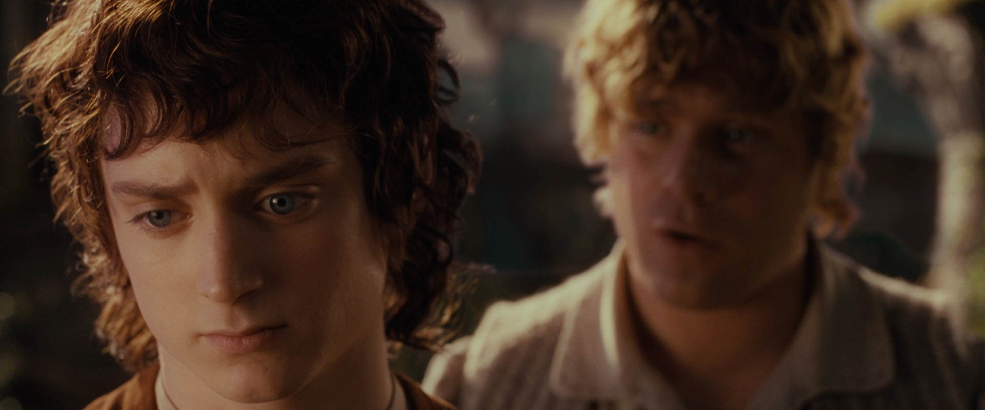 The Lord of the Rings: The Fellowship of the Ring (2001) movie still 10459