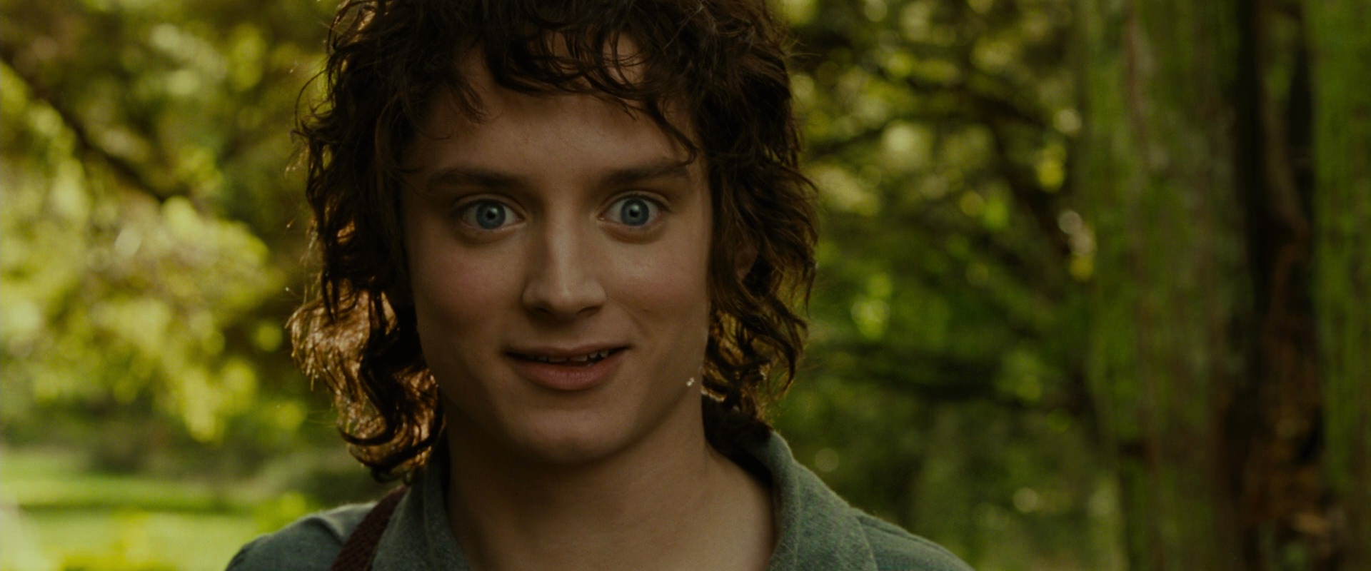 The Lord of the Rings: The Fellowship of the Ring (2001) HD screenshot 1046