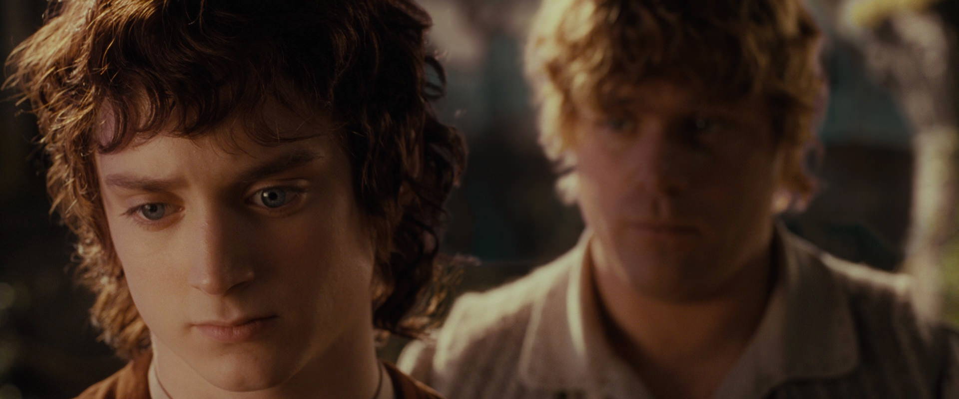 The Lord of the Rings: The Fellowship of the Ring (2001) HD screenshot 10460