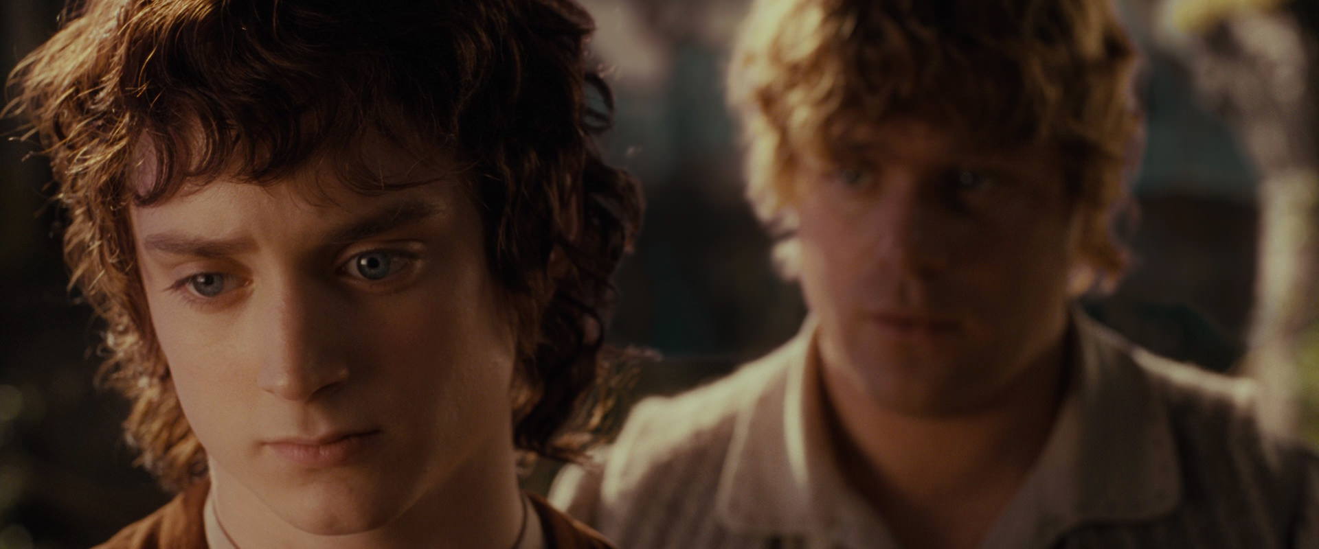 The Lord of the Rings: The Fellowship of the Ring (2001) screencap 10461