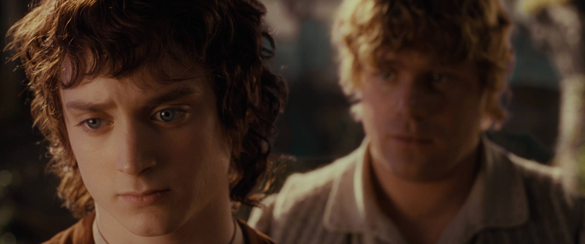 The Lord of the Rings: The Fellowship of the Ring (2001) movie still 10462