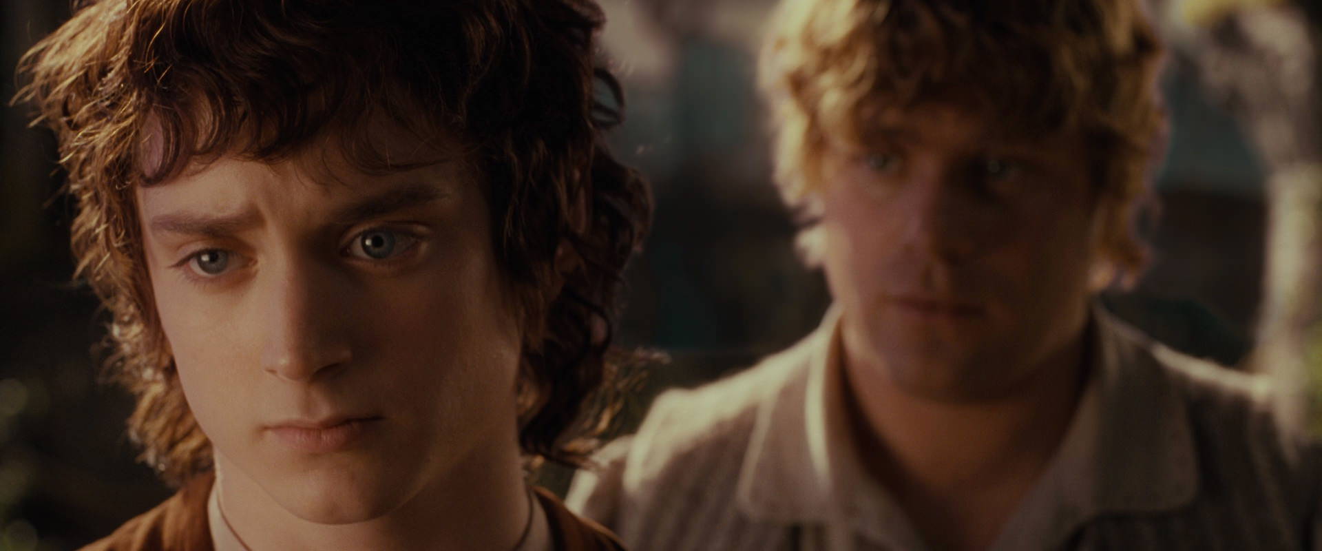 The Lord of the Rings: The Fellowship of the Ring (2001) HD screenshot 10463