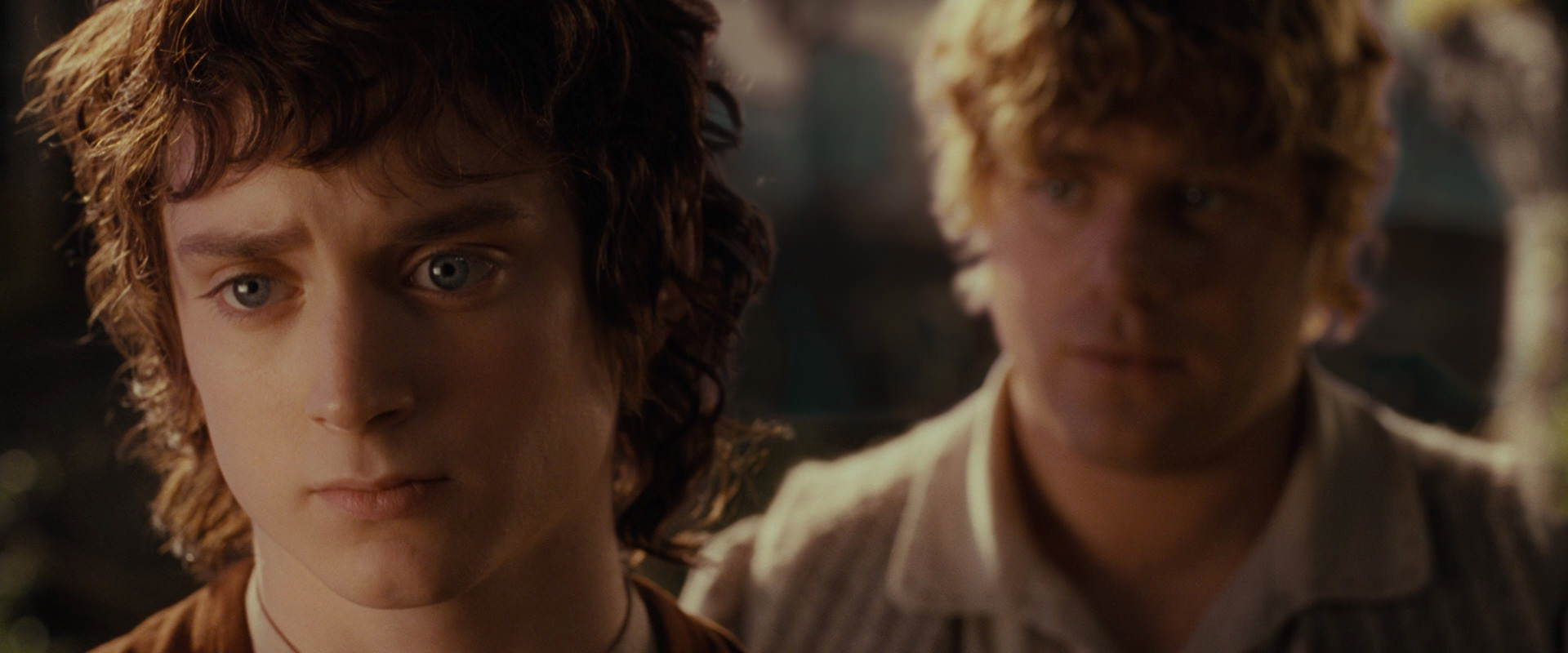 The Lord of the Rings: The Fellowship of the Ring (2001) screencap 10464