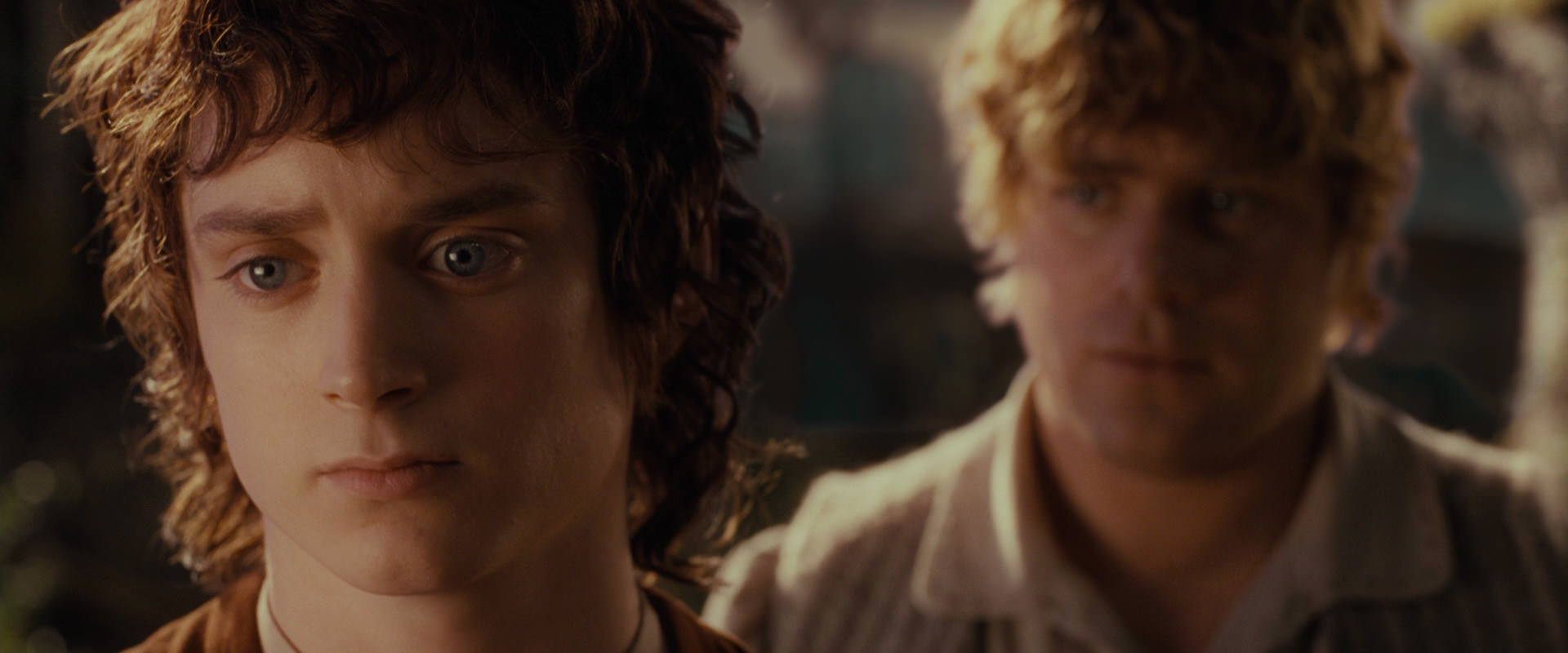 The Lord of the Rings: The Fellowship of the Ring (2001) HD screenshot 10466