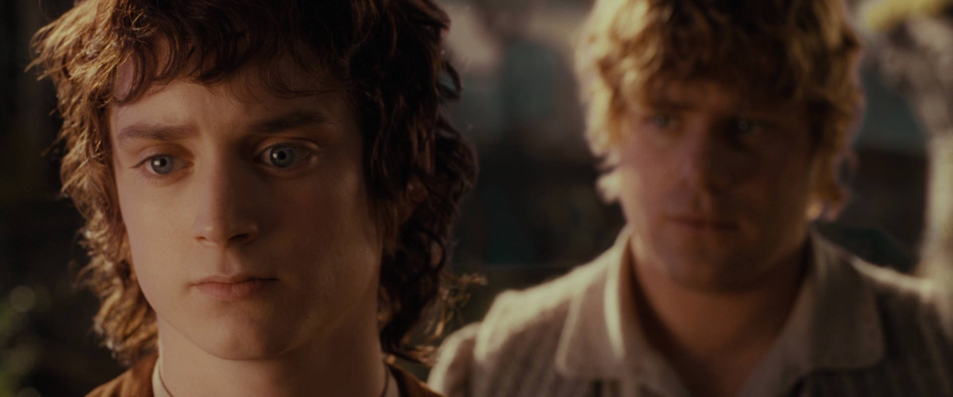 The Lord of the Rings: The Fellowship of the Ring (2001) screencap 10467