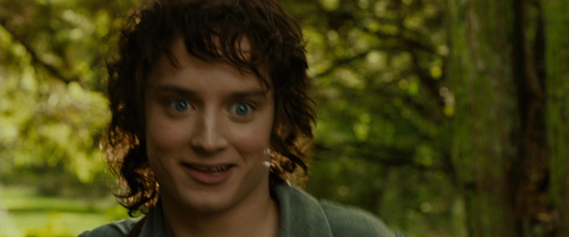 The Lord of the Rings: The Fellowship of the Ring (2001) screencap 1047