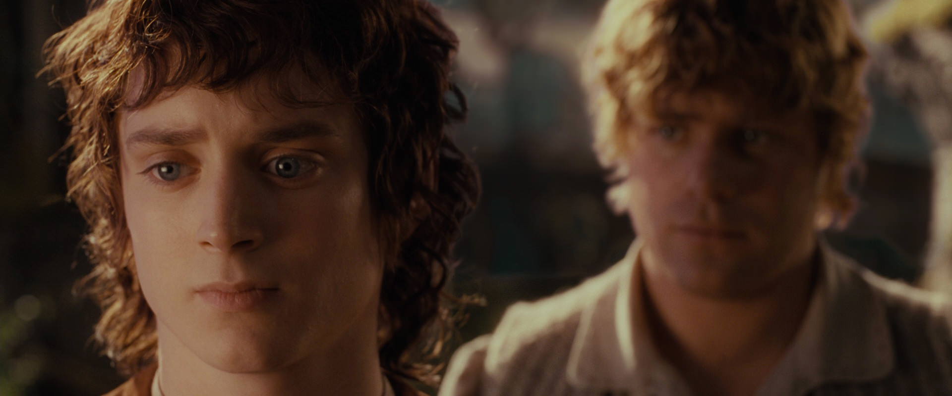 The Lord of the Rings: The Fellowship of the Ring (2001) screencap 10470