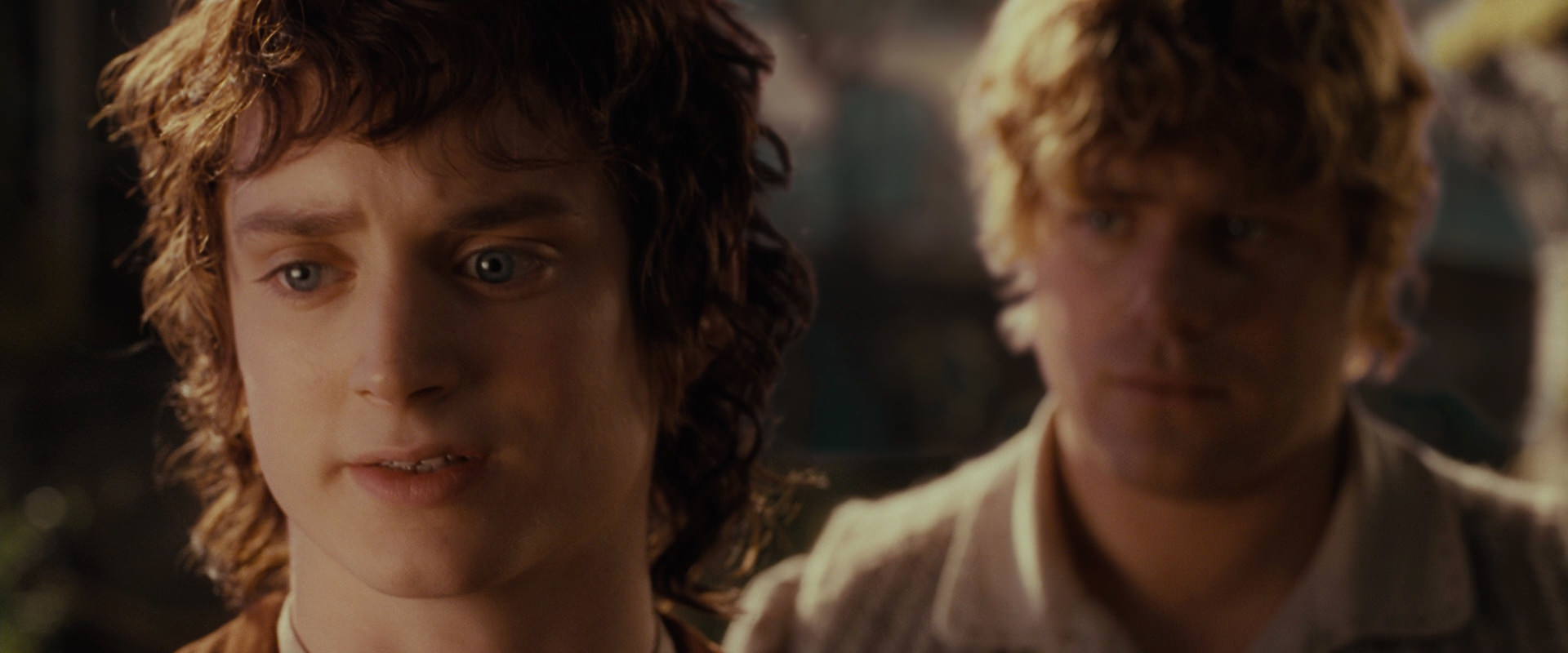 The Lord of the Rings: The Fellowship of the Ring (2001) HD screenshot 10472