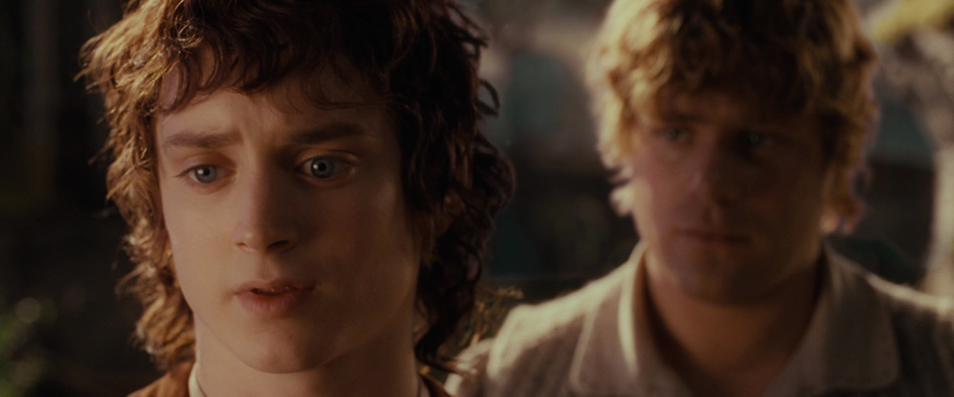 The Lord of the Rings: The Fellowship of the Ring (2001) screencap 10473