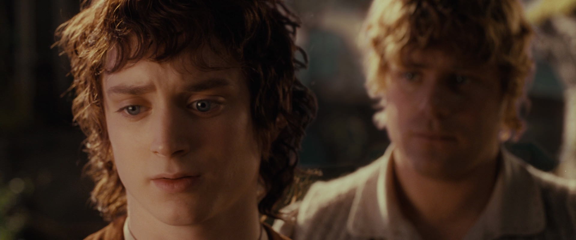 The Lord of the Rings: The Fellowship of the Ring (2001) movie still 10474