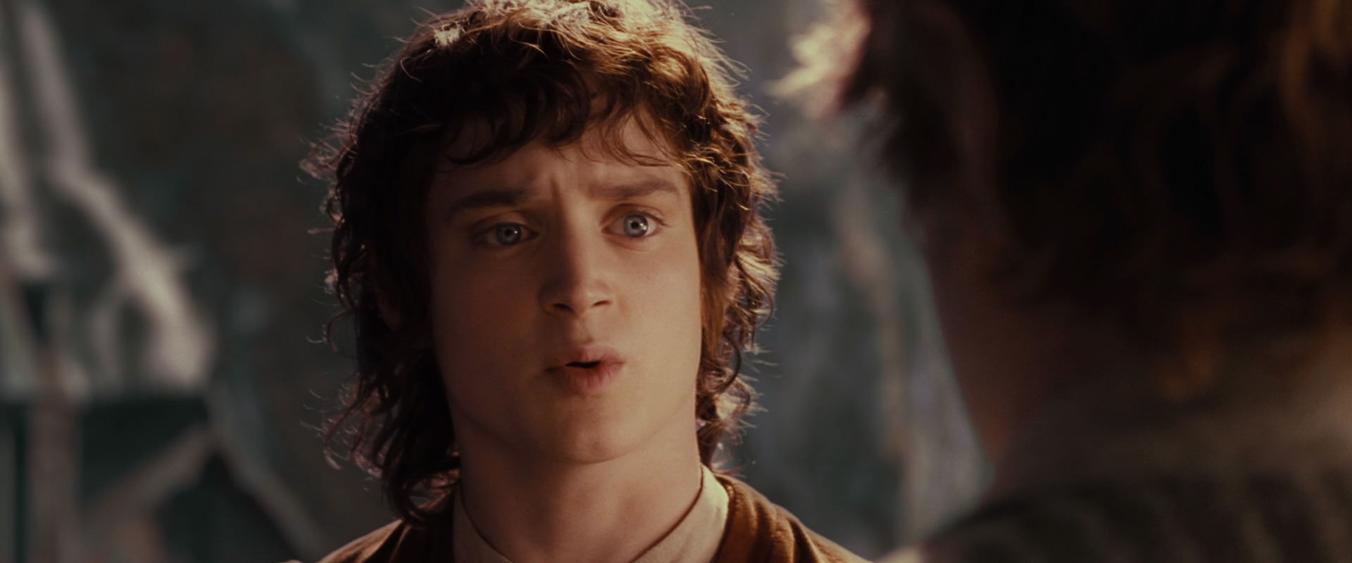 The Lord of the Rings: The Fellowship of the Ring (2001) movie still 10480