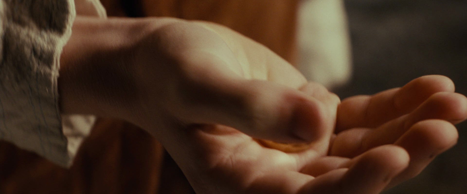 The Lord of the Rings: The Fellowship of the Ring (2001) HD screenshot 10487