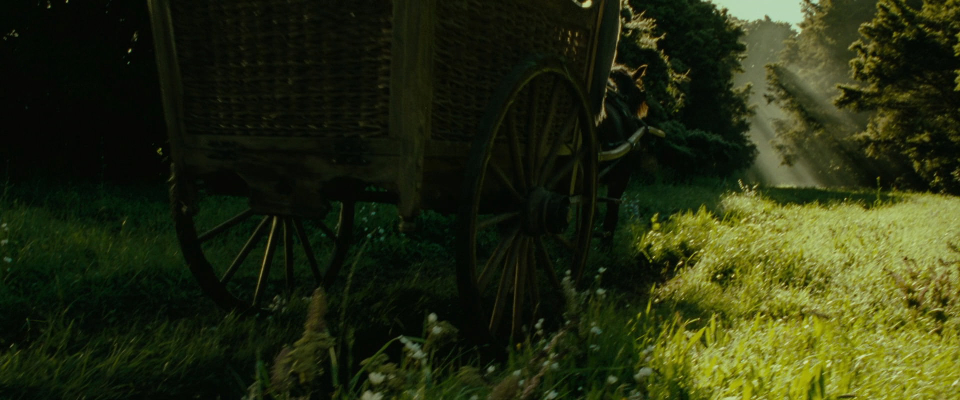 The Lord of the Rings: The Fellowship of the Ring (2001) screencap 1050