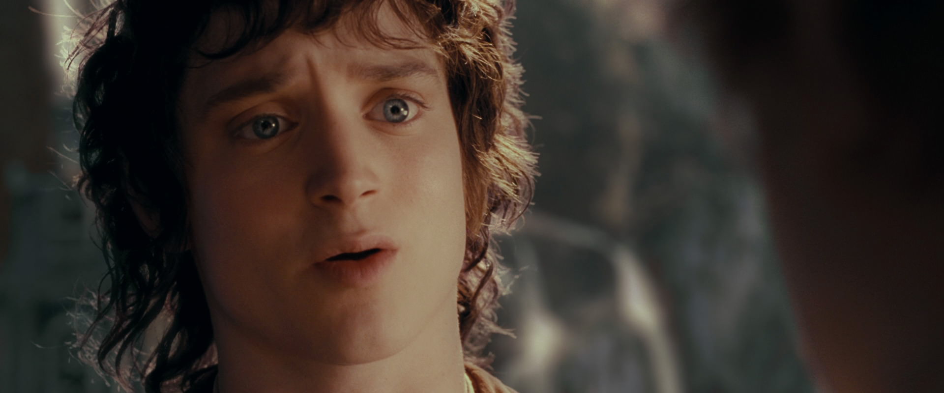 The Lord of the Rings: The Fellowship of the Ring (2001) movie still 10501