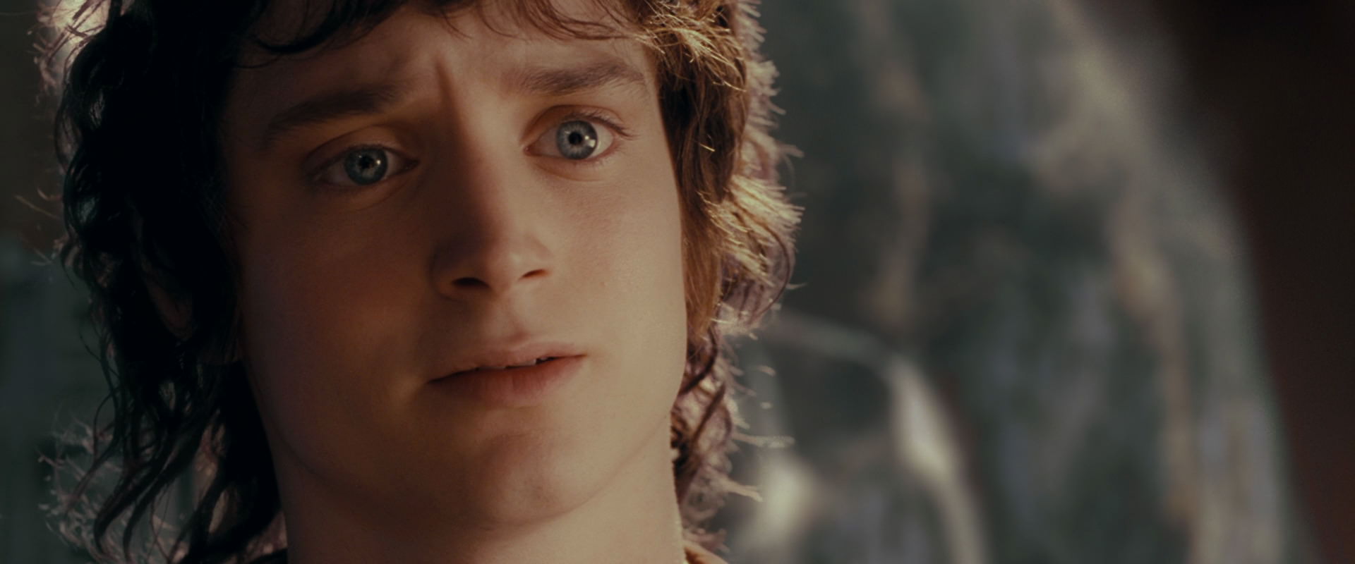 The Lord of the Rings: The Fellowship of the Ring (2001) screencap 10503