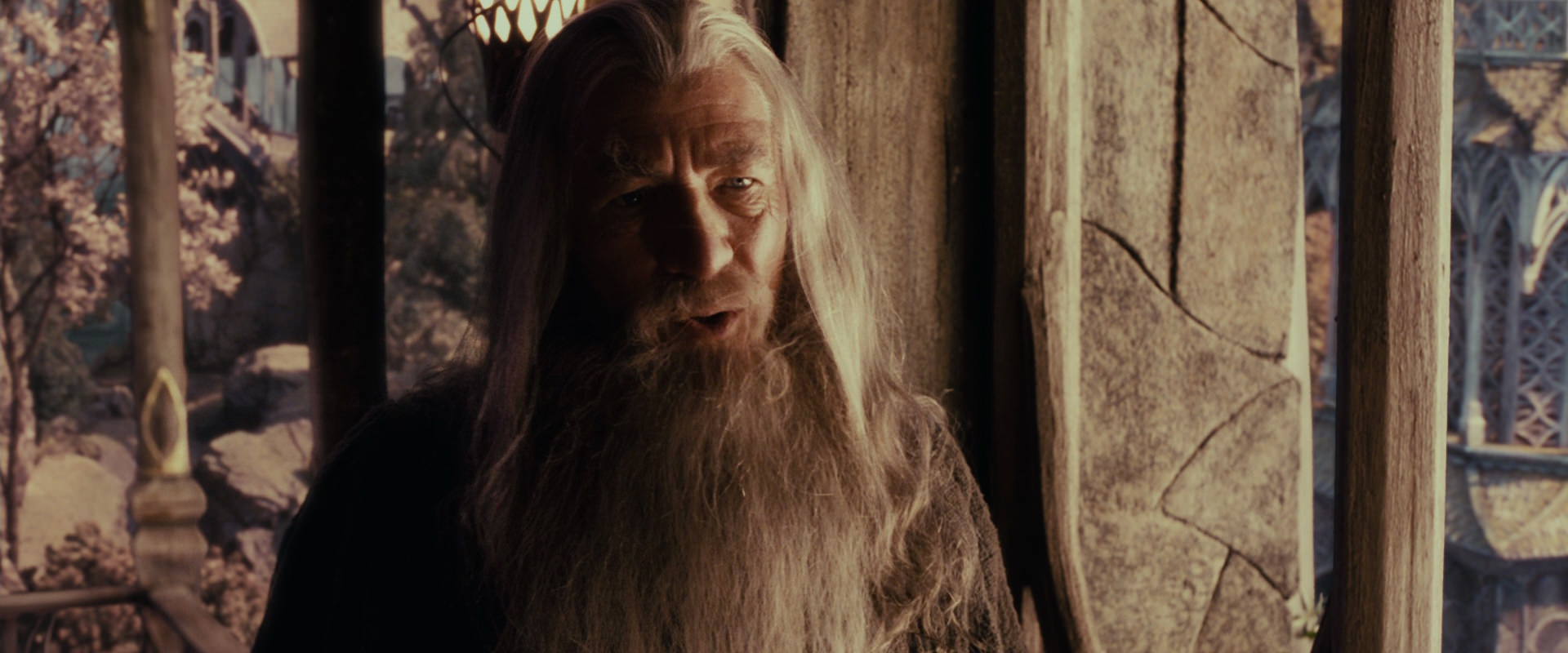 The Lord of the Rings: The Fellowship of the Ring (2001) screencap 10545