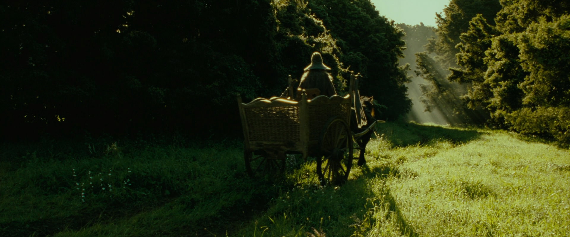 The Lord of the Rings: The Fellowship of the Ring (2001) screencap 1056