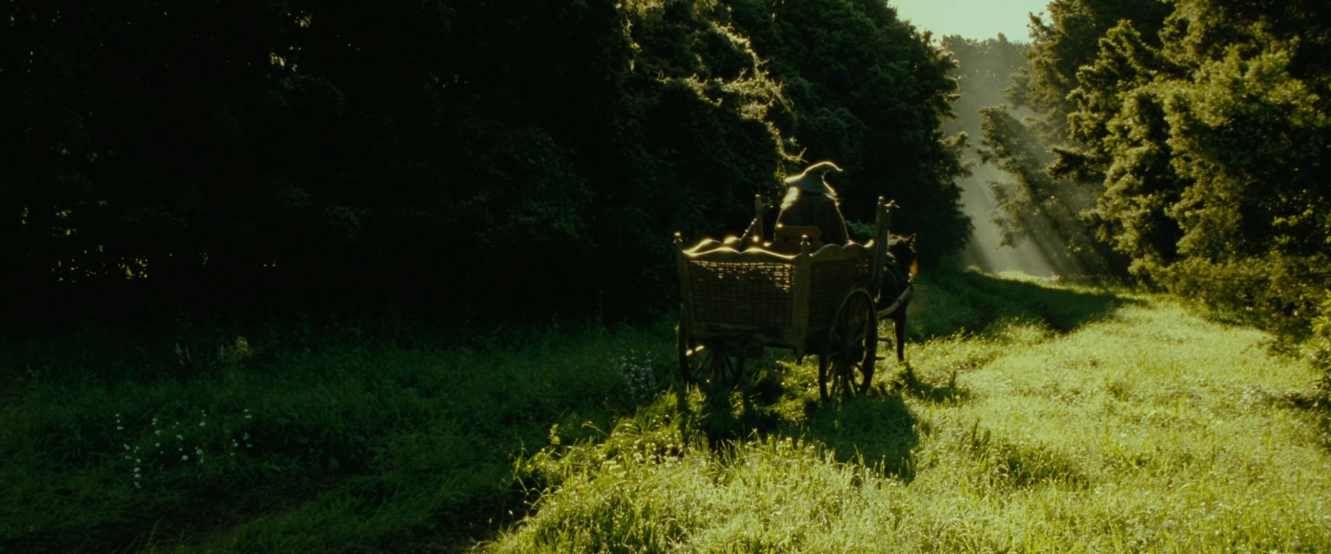 The Lord of the Rings: The Fellowship of the Ring (2001) screencap 1059