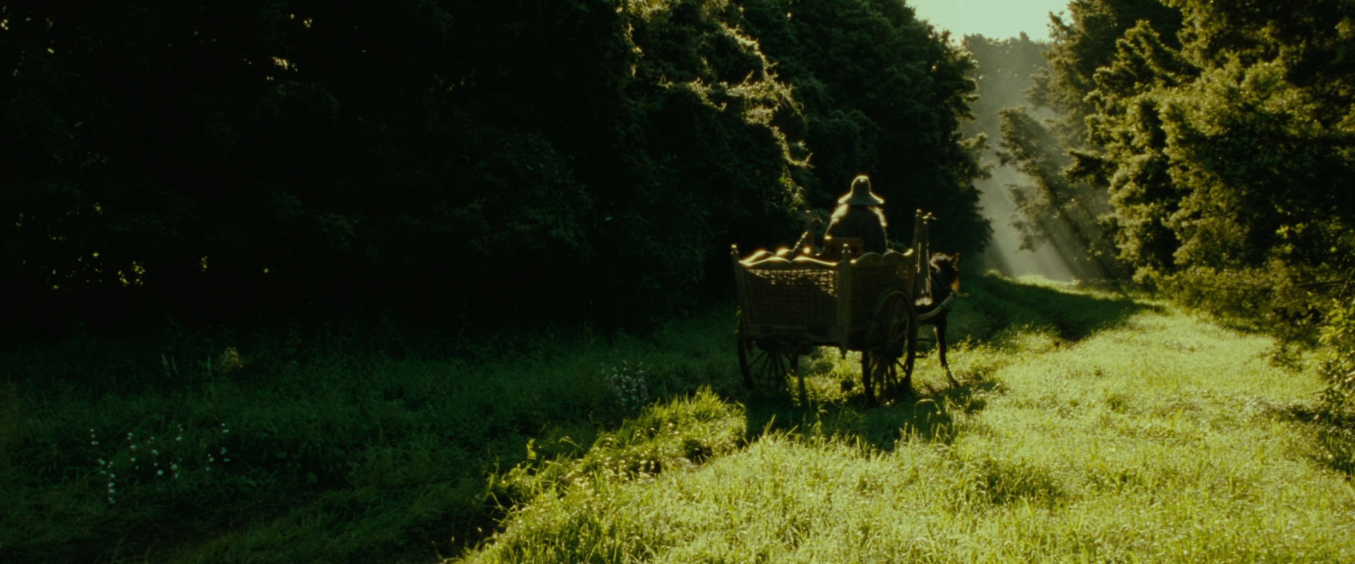 The Lord of the Rings: The Fellowship of the Ring (2001) HD screenshot 1061