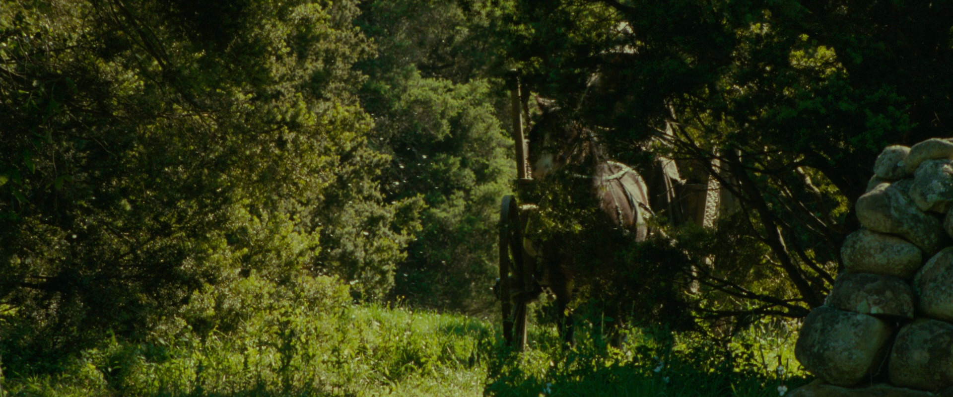 The Lord of the Rings: The Fellowship of the Ring (2001) screencap 1062