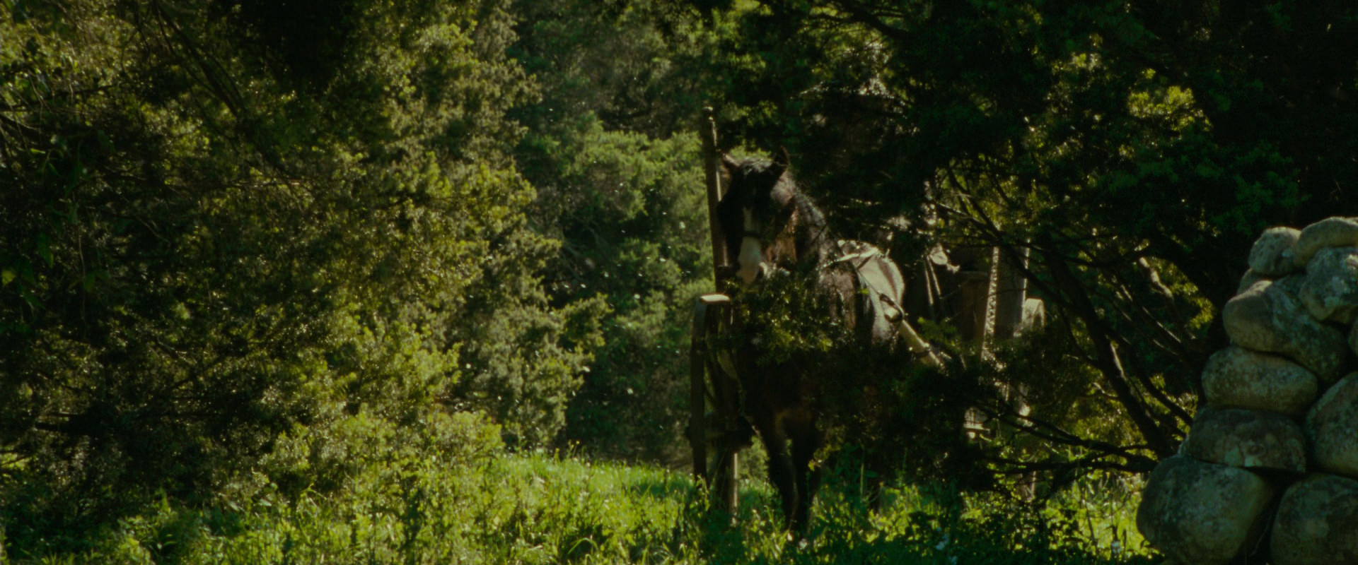 The Lord of the Rings: The Fellowship of the Ring (2001) movie still 1063