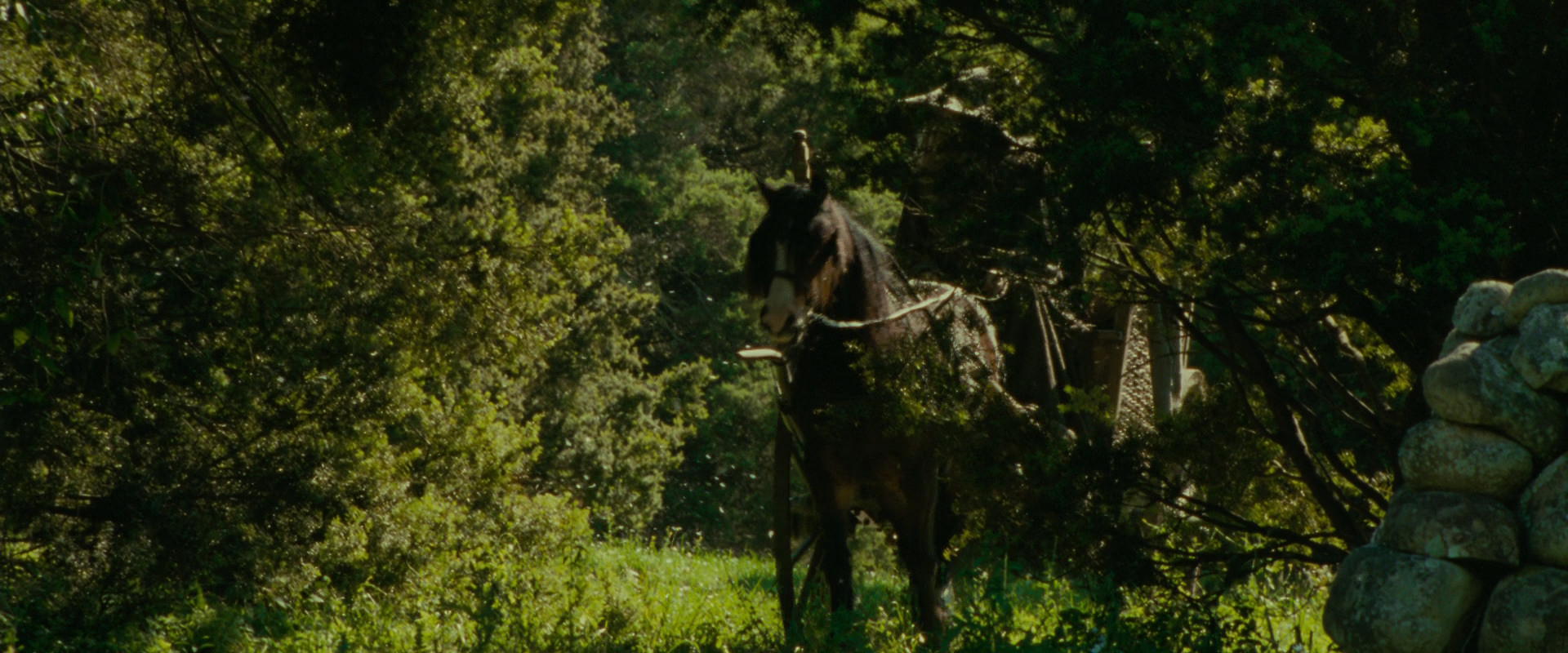 The Lord of the Rings: The Fellowship of the Ring (2001) HD screenshot 1064