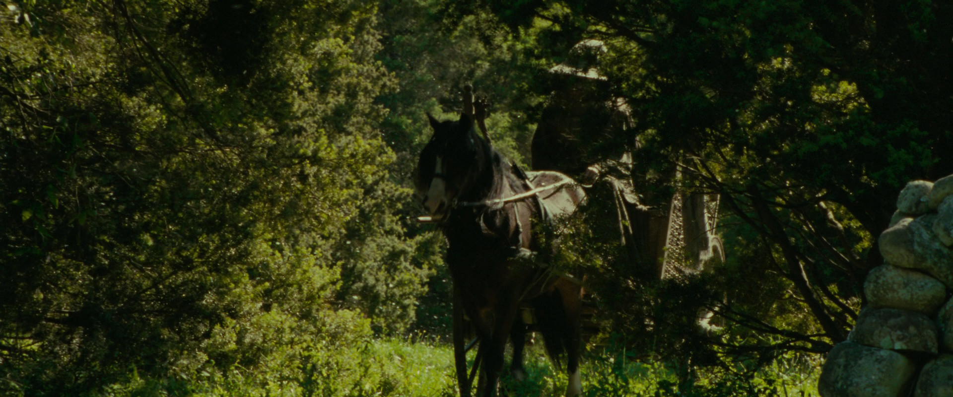 The Lord of the Rings: The Fellowship of the Ring (2001) screencap 1065