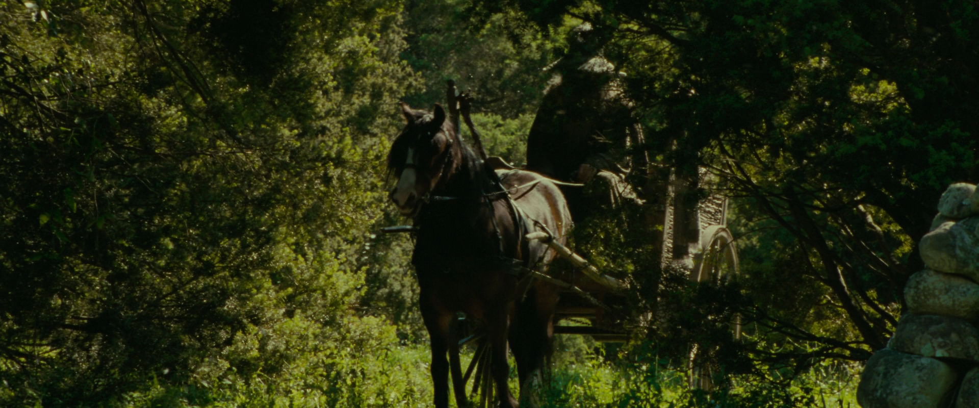 The Lord of the Rings: The Fellowship of the Ring (2001) movie still 1066