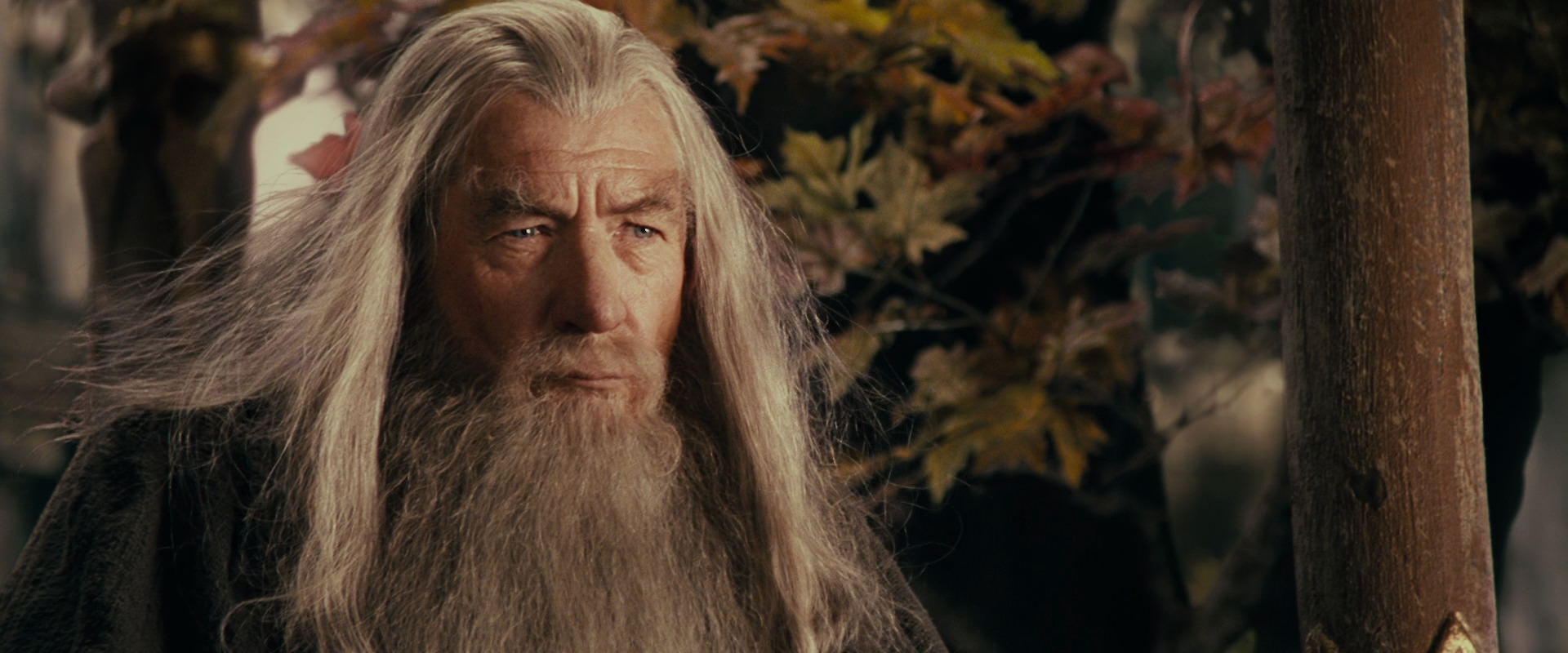 The Lord of the Rings: The Fellowship of the Ring (2001) screencap 10662