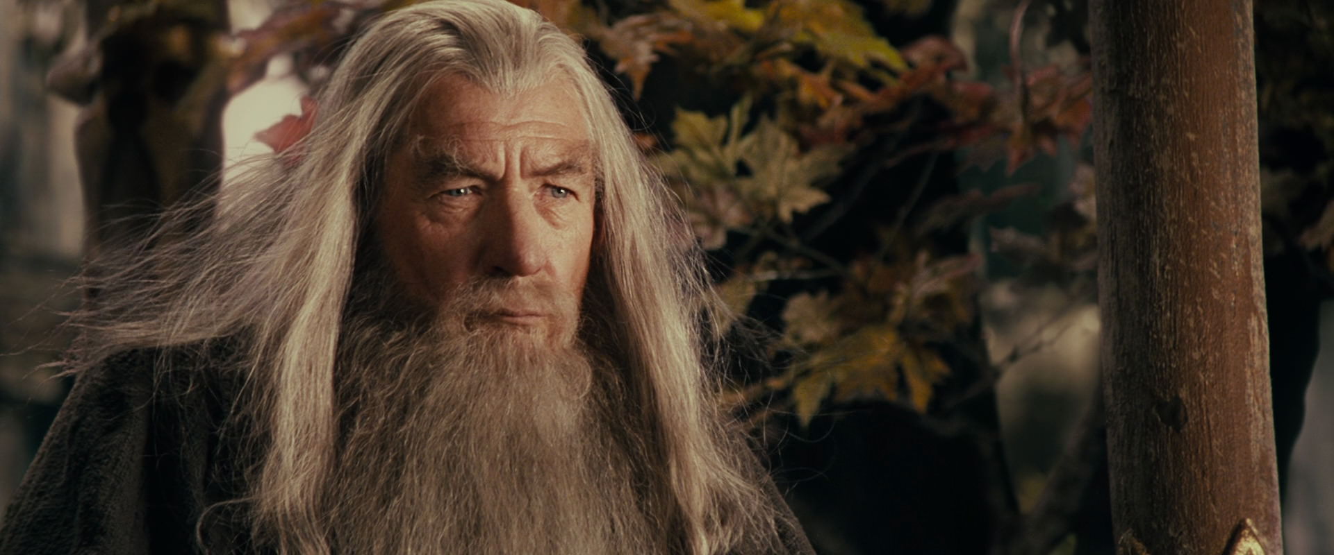 The Lord of the Rings: The Fellowship of the Ring (2001) movie still 10663