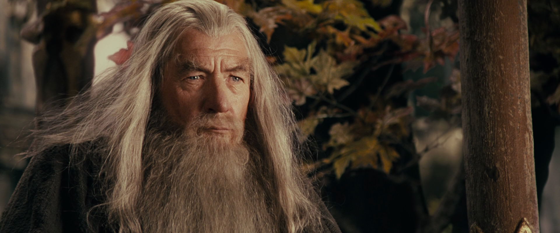 The Lord of the Rings: The Fellowship of the Ring (2001) HD screenshot 10664
