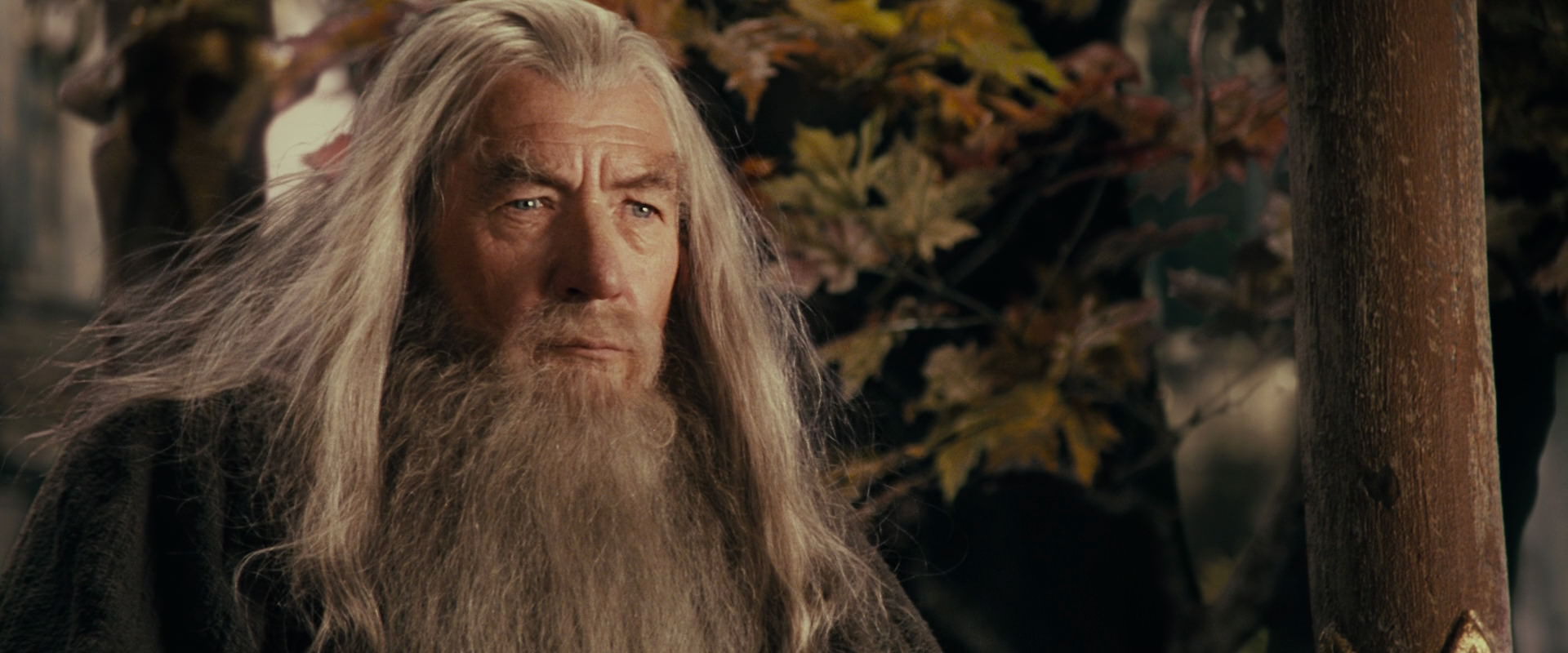 The Lord of the Rings: The Fellowship of the Ring (2001) screencap 10665