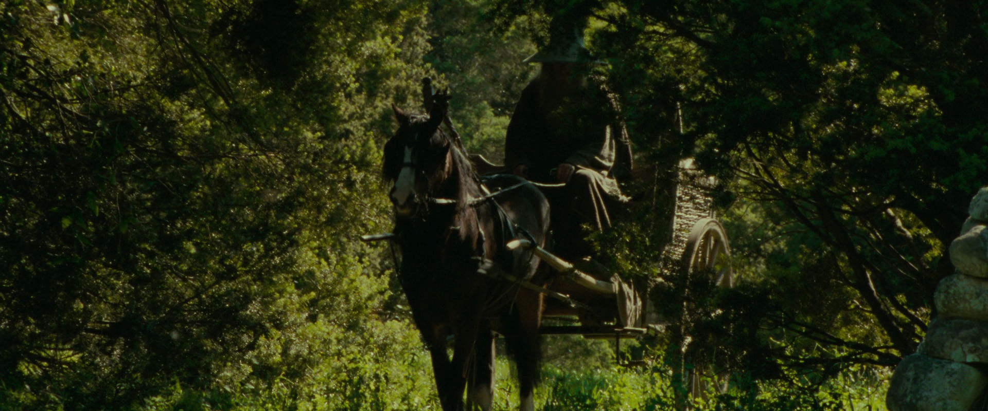 The Lord of the Rings: The Fellowship of the Ring (2001) HD screenshot 1067