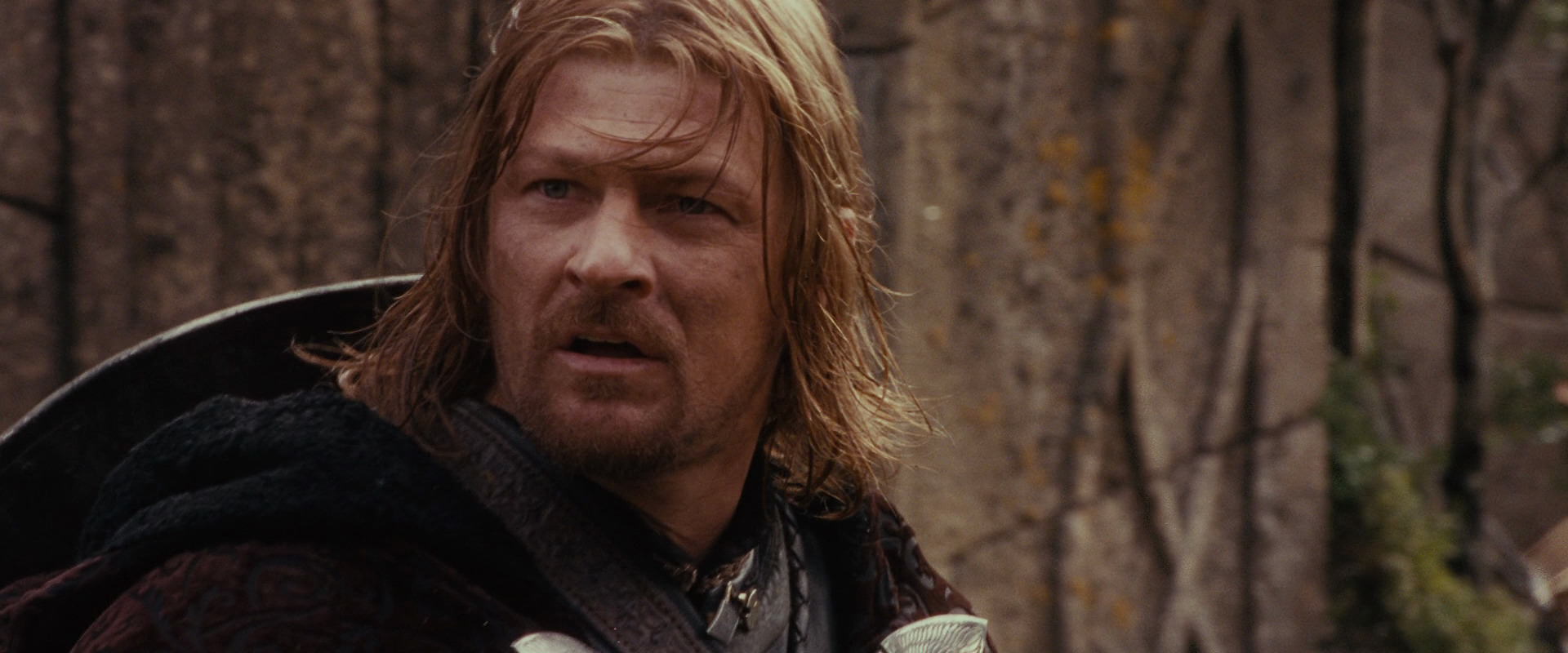 The Lord of the Rings: The Fellowship of the Ring (2001) screencap 10674
