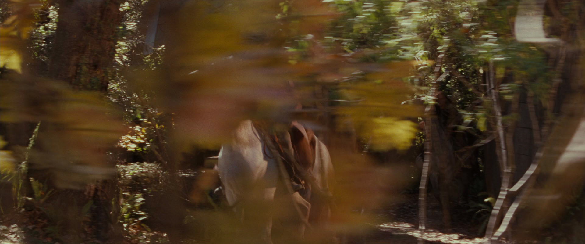 The Lord of the Rings: The Fellowship of the Ring (2001) HD screenshot 10676