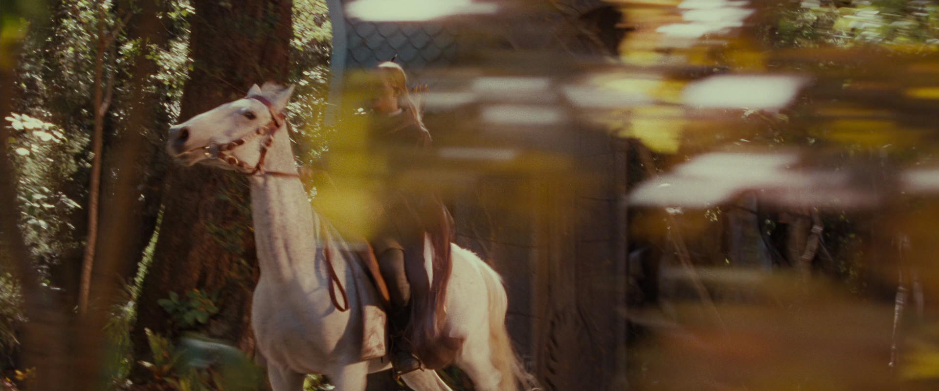 The Lord of the Rings: The Fellowship of the Ring (2001) screencap 10677