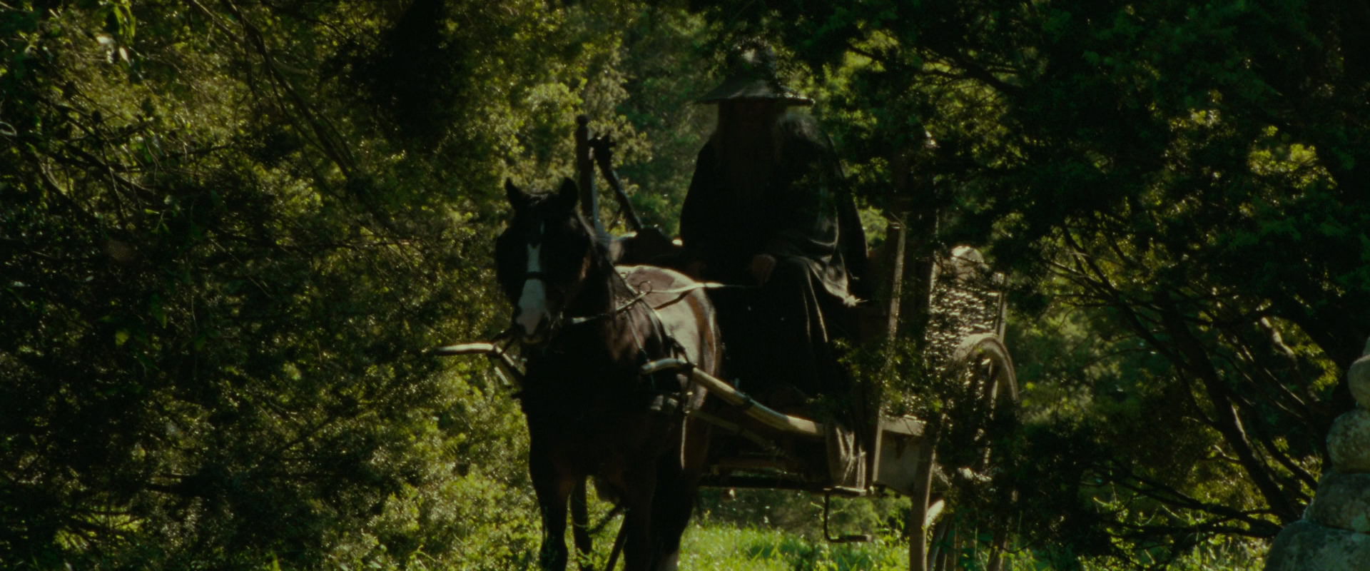 The Lord of the Rings: The Fellowship of the Ring (2001) screencap 1068