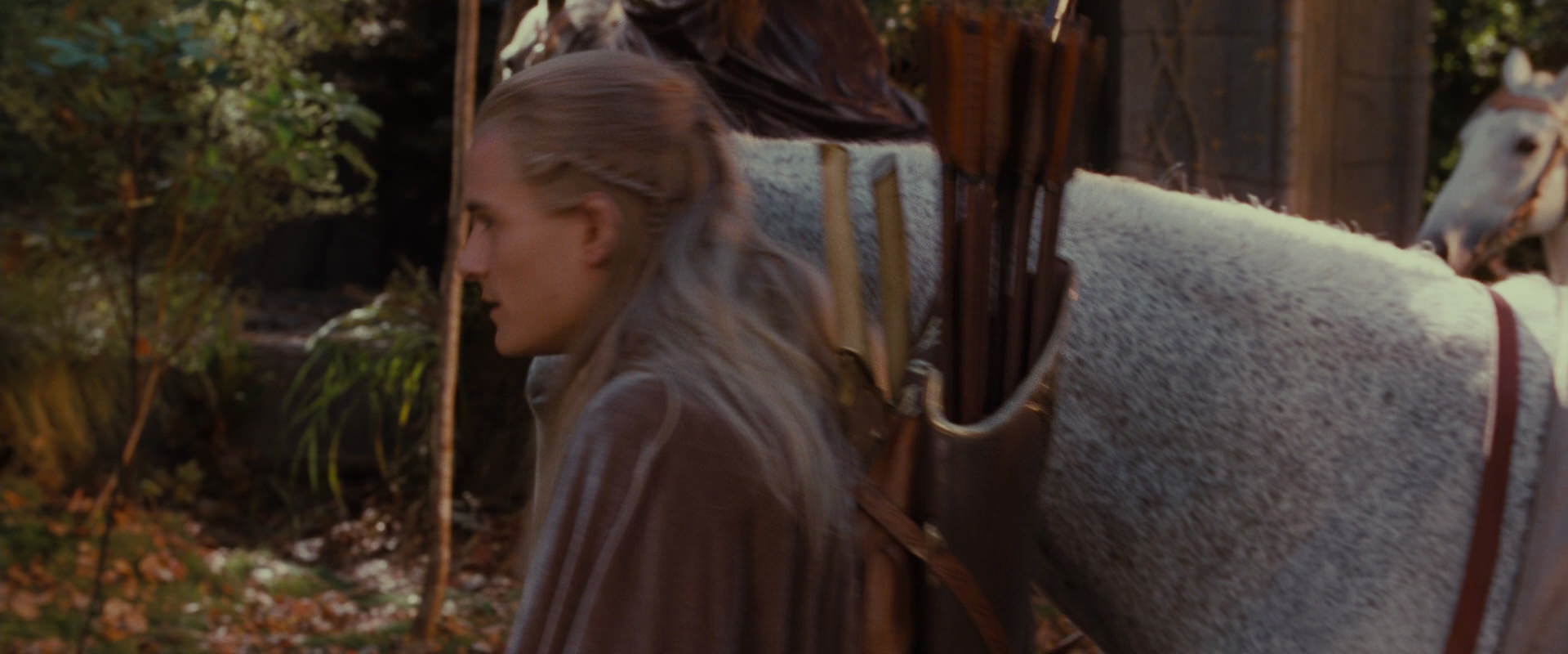 The Lord of the Rings: The Fellowship of the Ring (2001) HD screenshot 10682