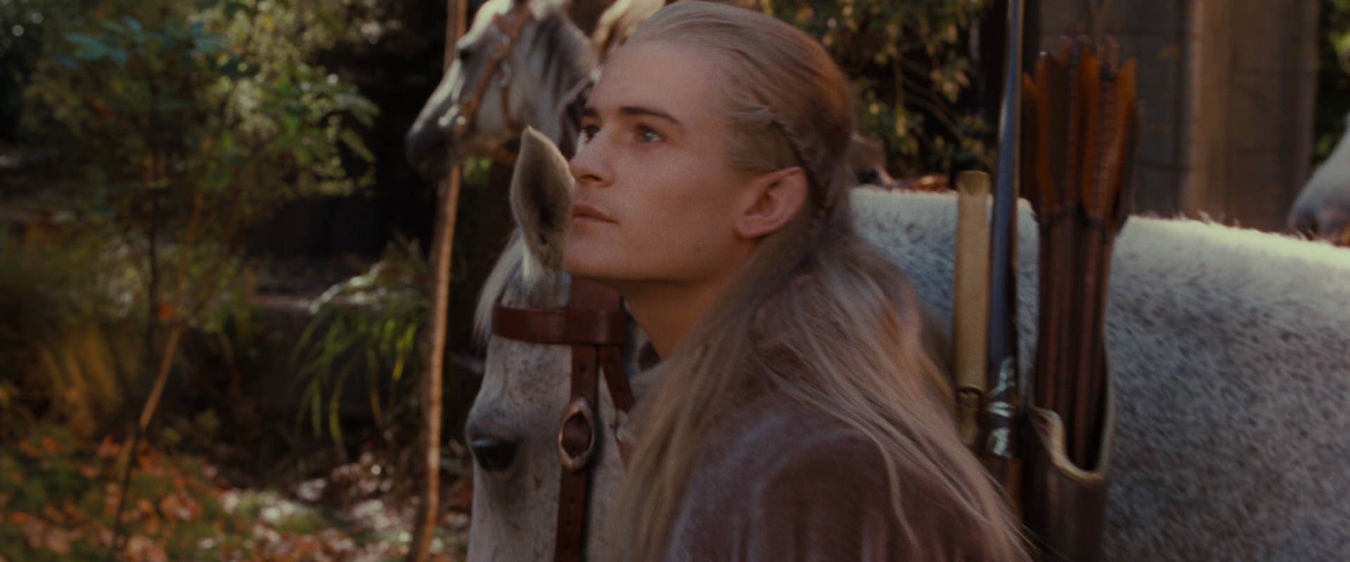 The Lord of the Rings: The Fellowship of the Ring (2001) screencap 10683