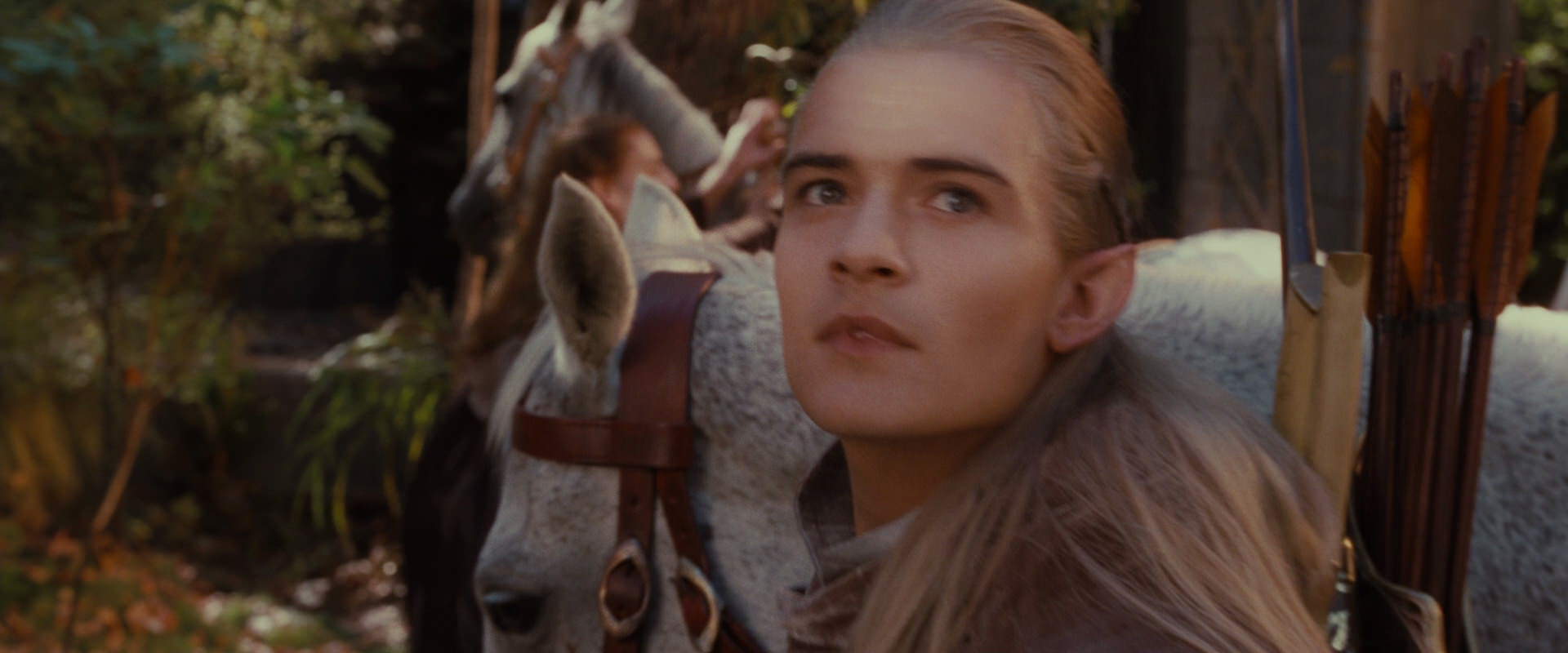 The Lord of the Rings: The Fellowship of the Ring (2001) movie still 10684