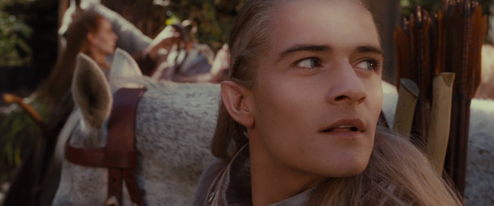 The Lord of the Rings: The Fellowship of the Ring (2001) screencap 10686