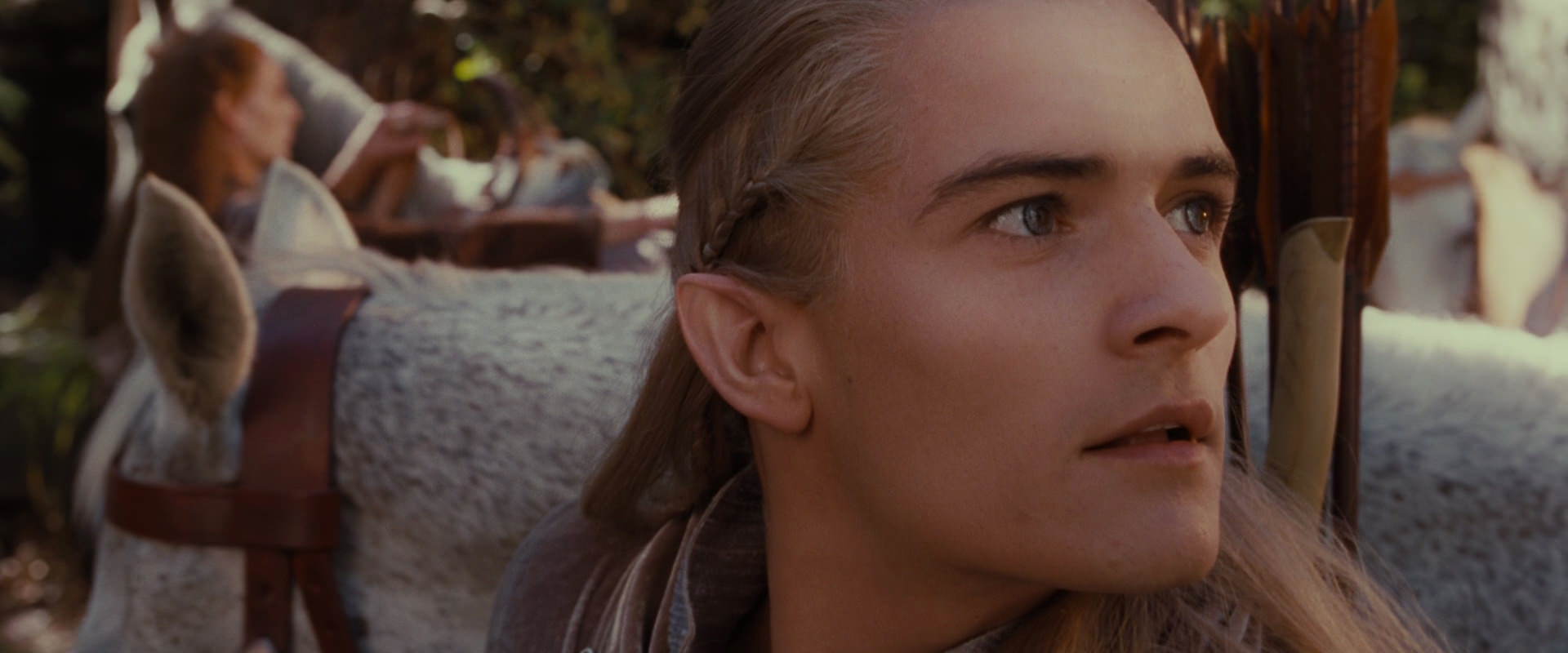 The Lord of the Rings: The Fellowship of the Ring (2001) movie still 10687