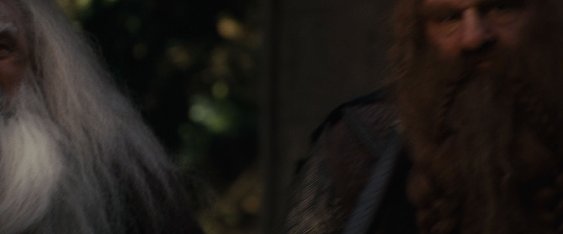 The Lord of the Rings: The Fellowship of the Ring (2001) screencap 10689