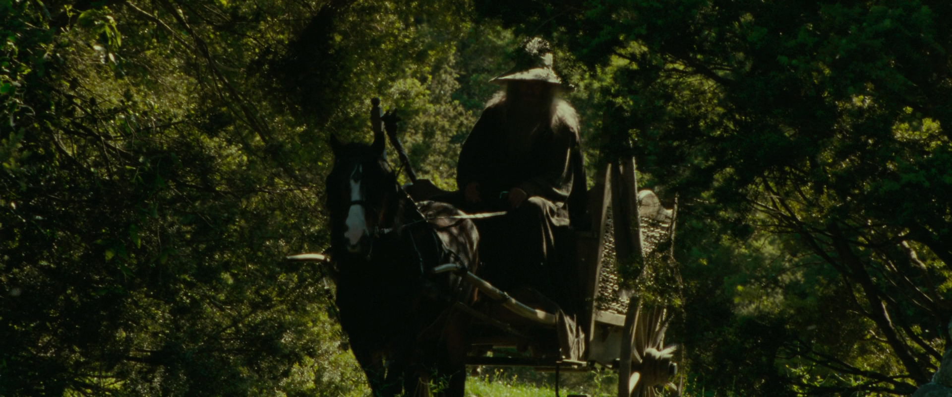 The Lord of the Rings: The Fellowship of the Ring (2001) movie still 1069