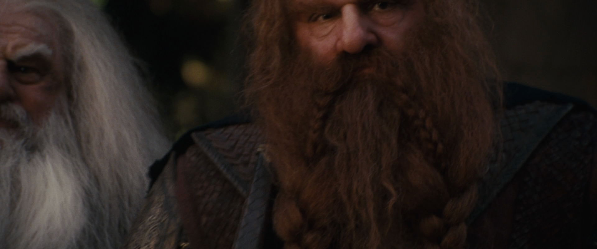 The Lord of the Rings: The Fellowship of the Ring (2001) movie still 10690