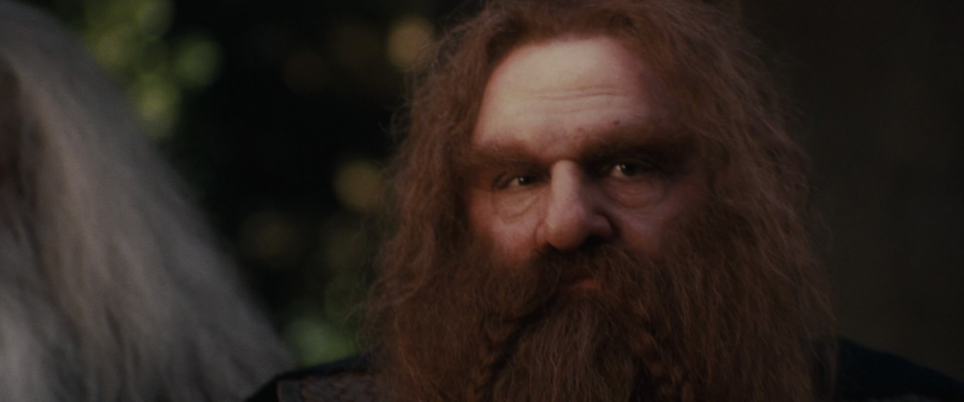 The Lord of the Rings: The Fellowship of the Ring (2001) HD screenshot 10691