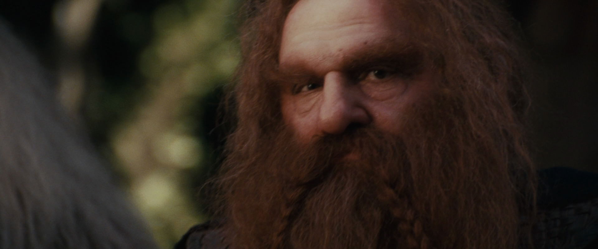 The Lord of the Rings: The Fellowship of the Ring (2001) screencap 10692