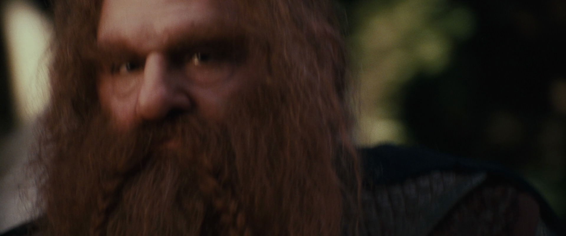 The Lord of the Rings: The Fellowship of the Ring (2001) movie still 10693