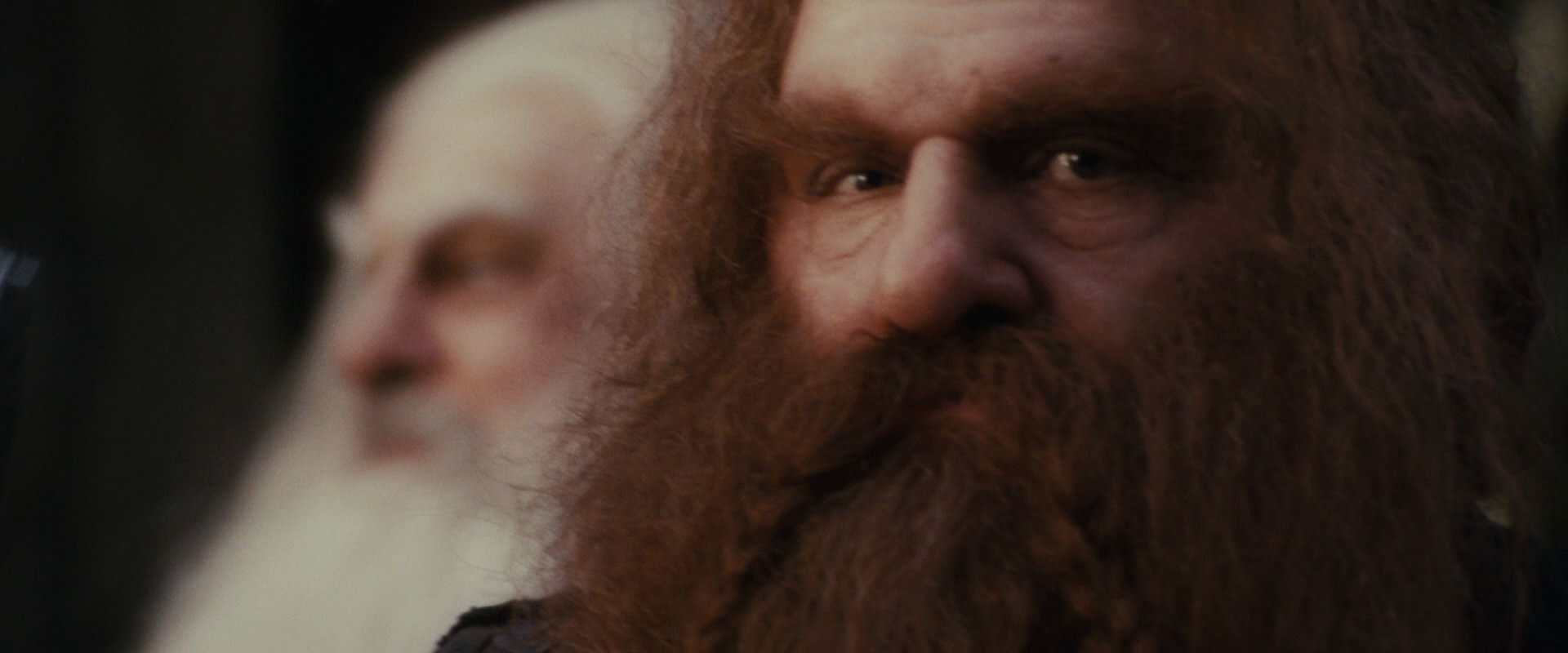 The Lord of the Rings: The Fellowship of the Ring (2001) screencap 10695